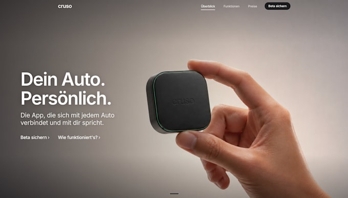 build a professional website or landing page