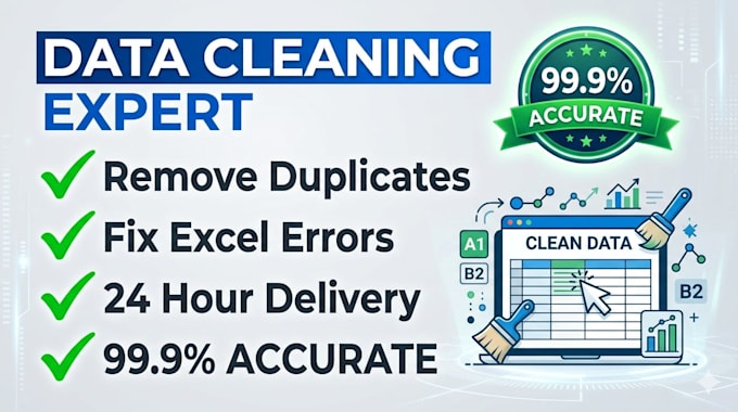 a professional data cleaner in just 24 hours