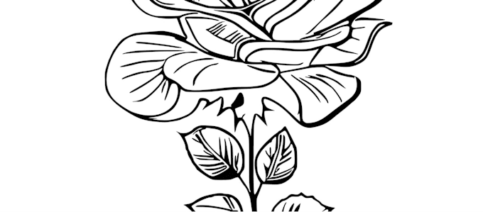 do custom black and grey realistic tattoo design