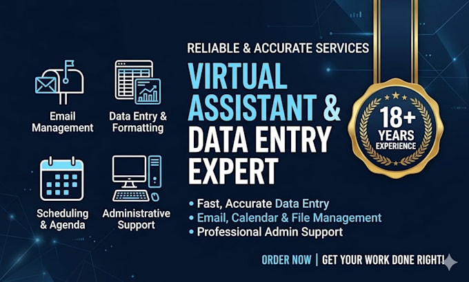 provide professional data entry and virtual assistant services