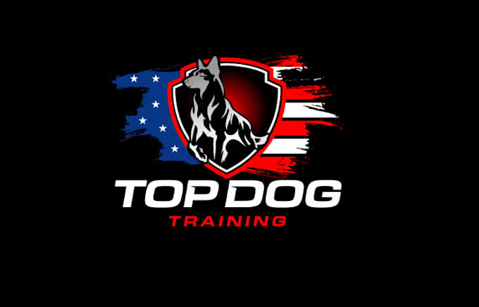 do modern patriotic logo