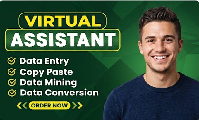 do professional excel data entry and data sheet management