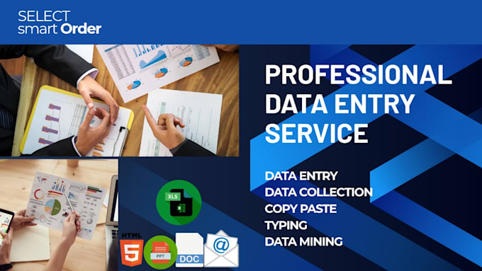 create professional data entry and reports professional