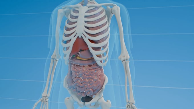 create professional 3d medical animation and visualization
