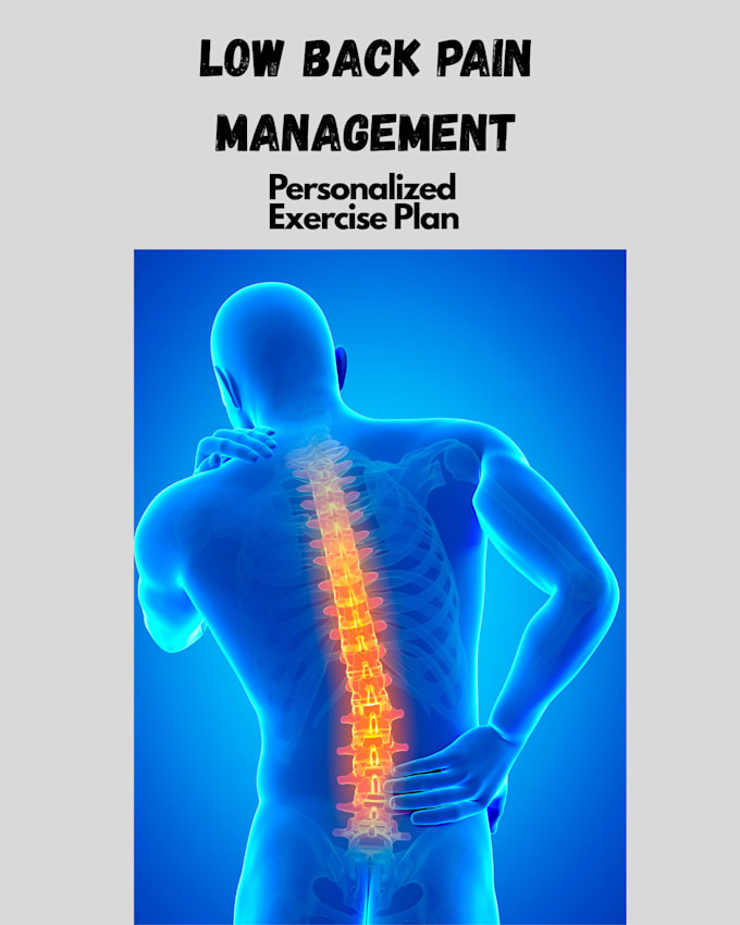create physiotherapy inspired low back pain program