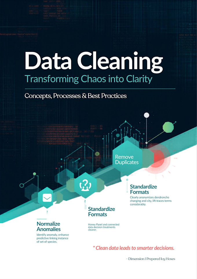 do data cleaning, data formatting and excel data cleaning using python