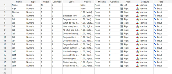 provide word, excel and spss services