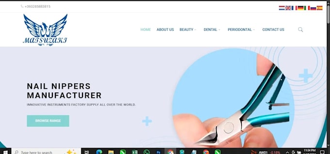 design and develop a professional responsive website for your business