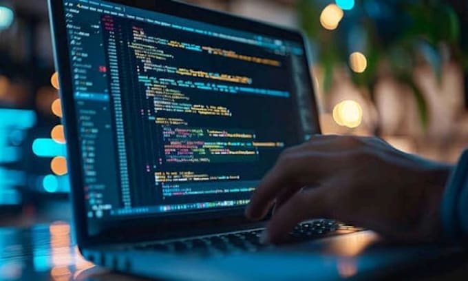 develop a modern business website and web application