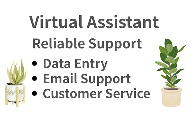 provide virtual assistant support