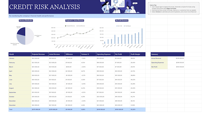 perform credit risk analysis and financial statement audit