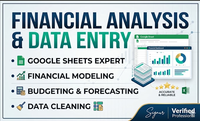 do expert financial analysis and data entry in google sheet