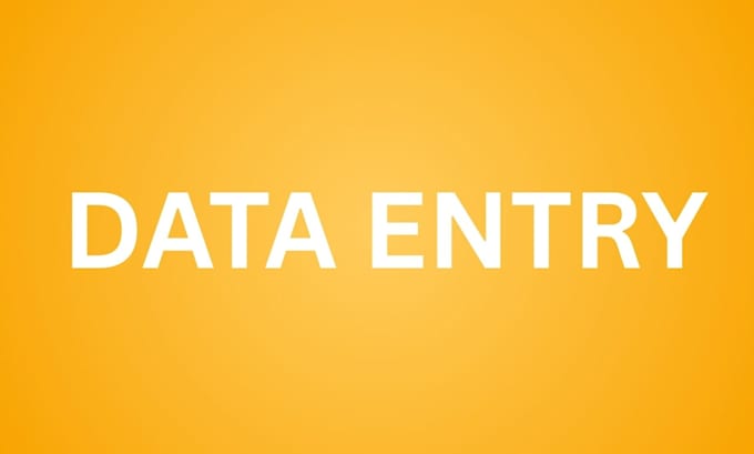 do data entry work 24 7