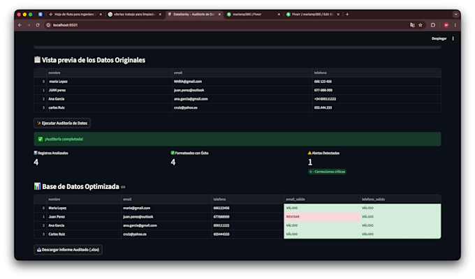 clean, format, and audit your excel data using python
