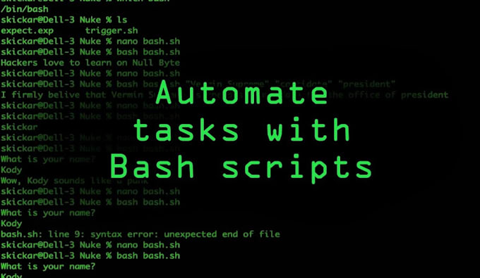 do bash, shell, powershell scripting for linux and windows