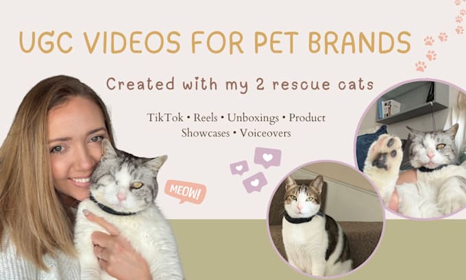 create authentic pet ugc content for cat and pet brands