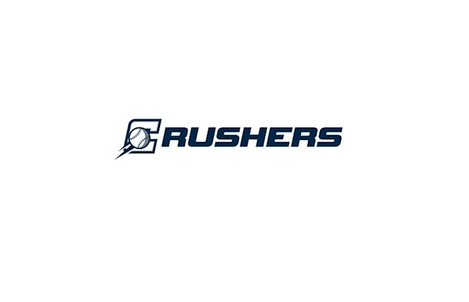 design unique baseball team logo