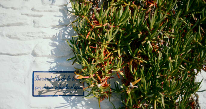do professional color grading and color correction