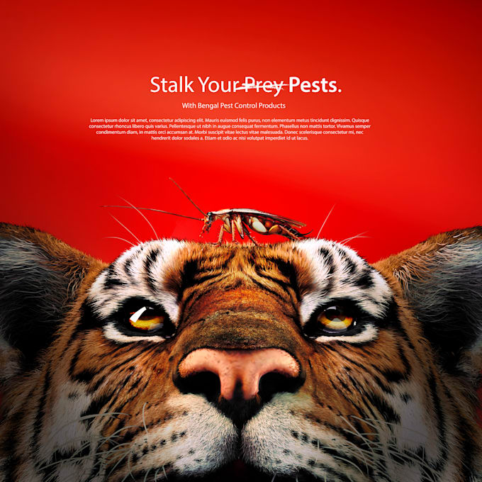 run post production for video and branded campaigns