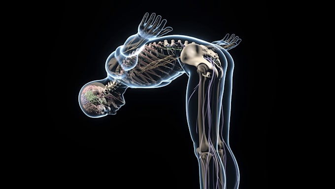 create premium 3d medical animation videos