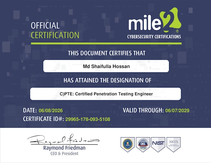 perform penetration test on your website and provide professional report