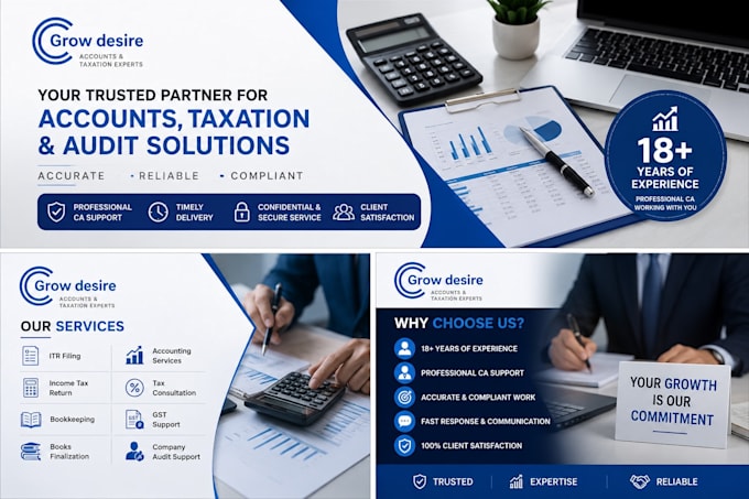 prepare financial statements, itr filing and audit support