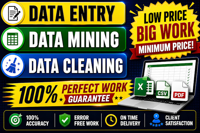 do data mining, web research, data cleaning, typing , copy paste