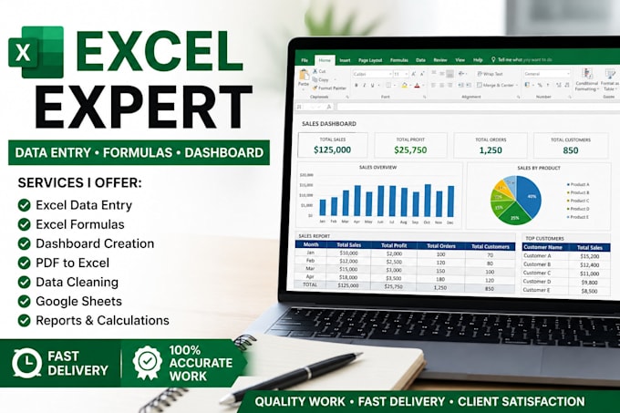 fast and accurate excel data entry work