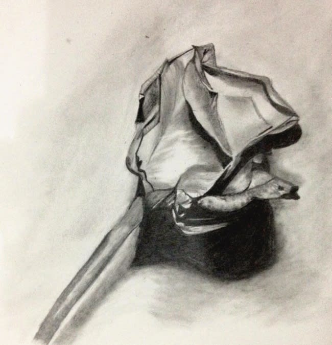make custom sketches for you