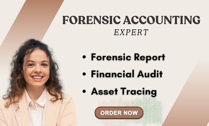 provide litigation support and forensic accounting services, financial audit