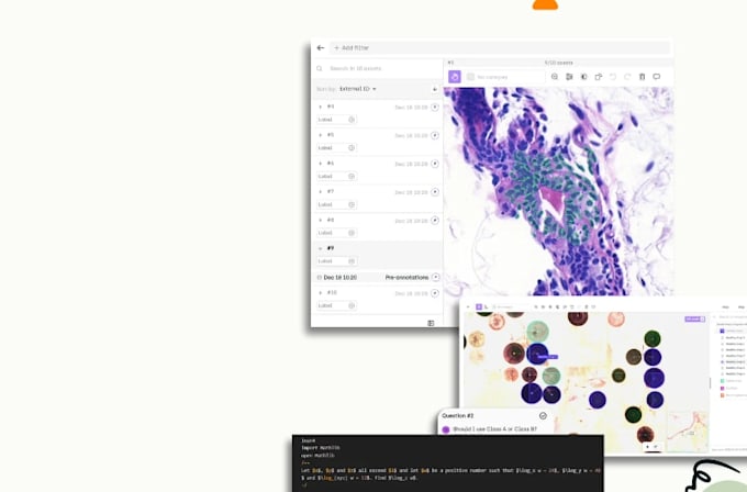 be your high quality dataset annotation for business