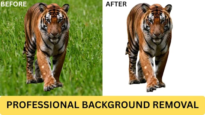 do background removal and image cutout