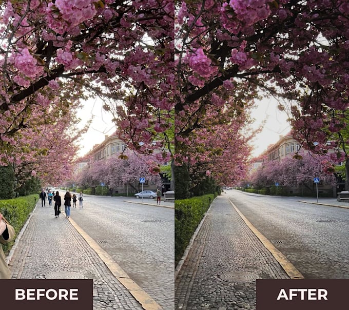 remove objects, people, or background from your photos