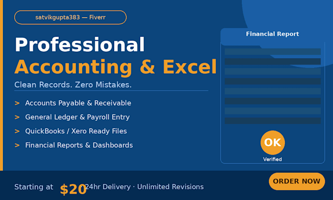 do professional accounting, bookkeeping and excel data entry for your business