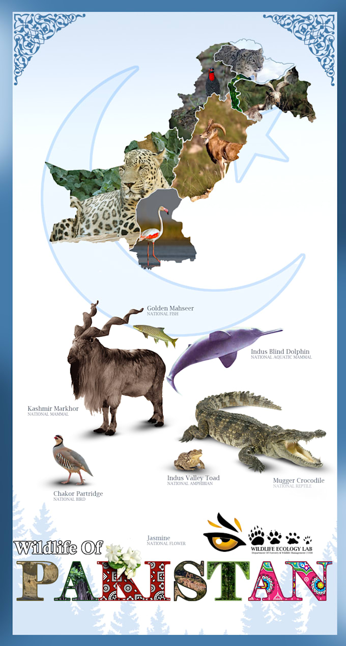 make infographic posters based on educational purpose