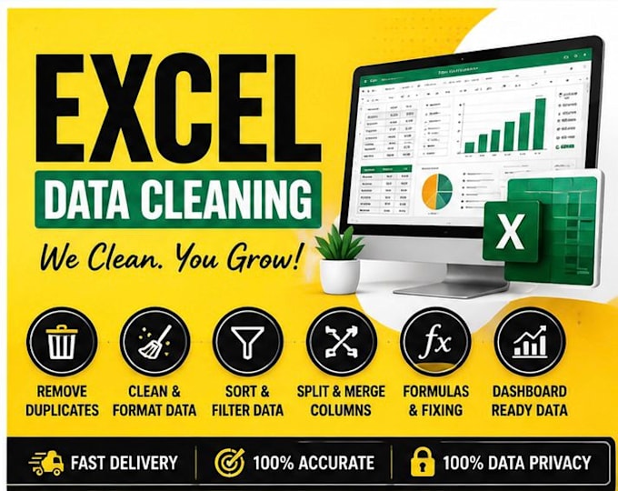 clean, format, merge, and organize excel data professionally