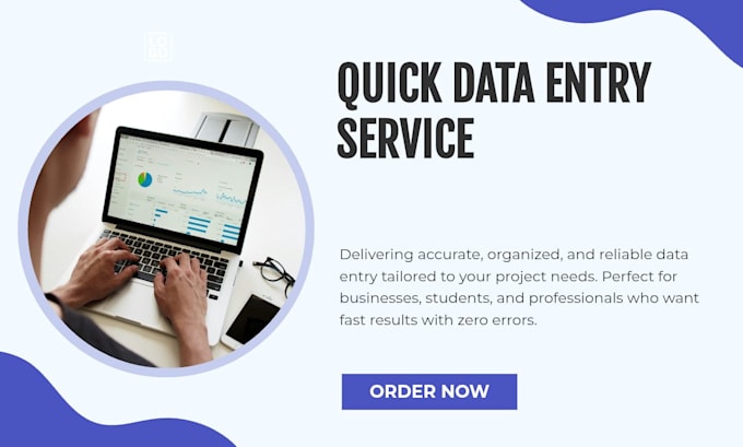 do professional financial accounting and excel data entry