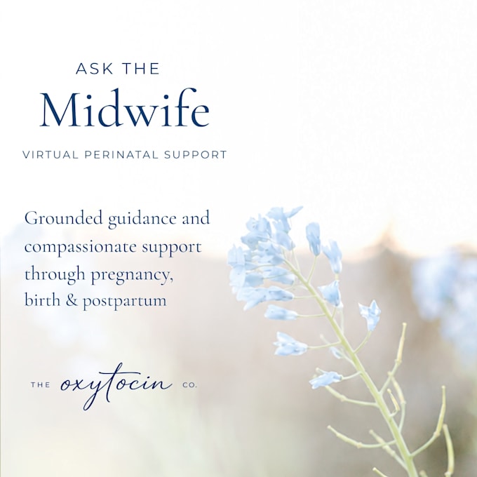 provide a virtual ask the midwife consult