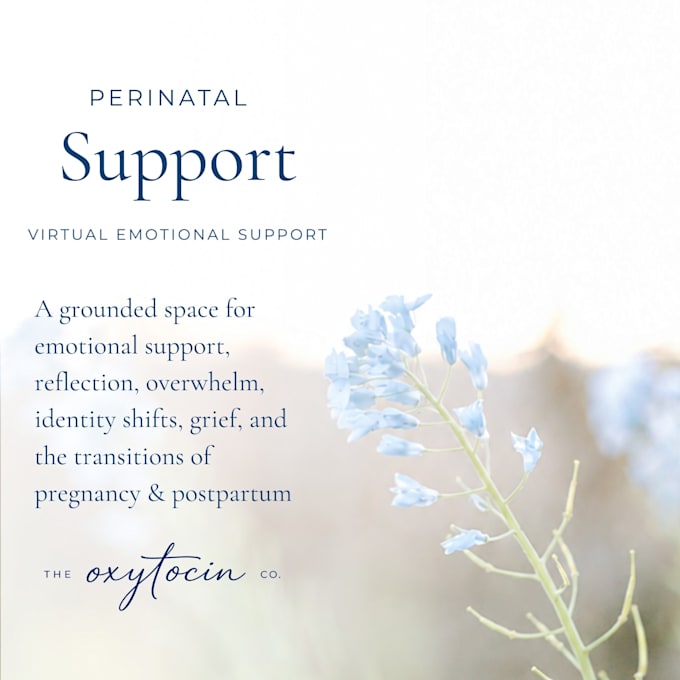 provide emotional support for pregnancy, postpartum, and more