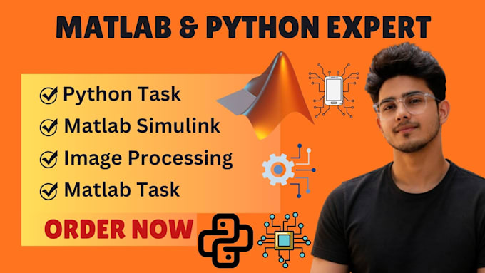 do projects in python, matlab and machine learning