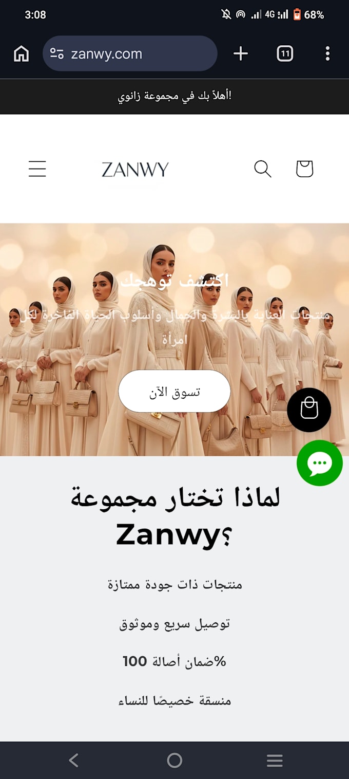 create a professional shopify store