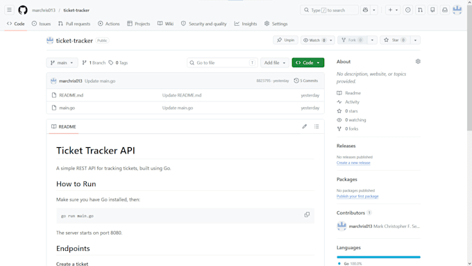 fix bugs and debug your go backend or rest API