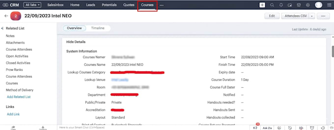 design custom zoho workflows, portals, and automations