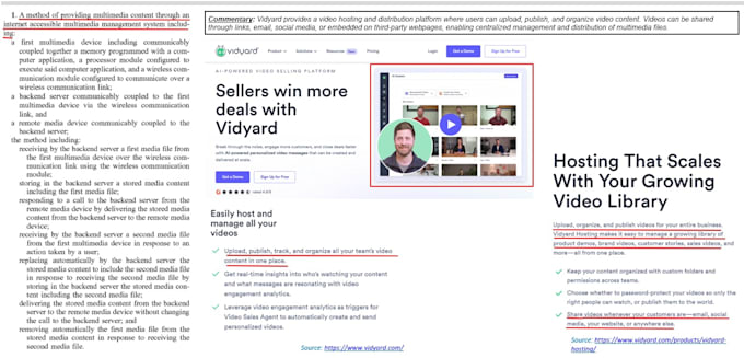 do infringement searches, eou mapping, market research, and portfolio management