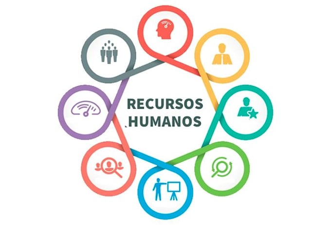 provide professional HR and recruitment support