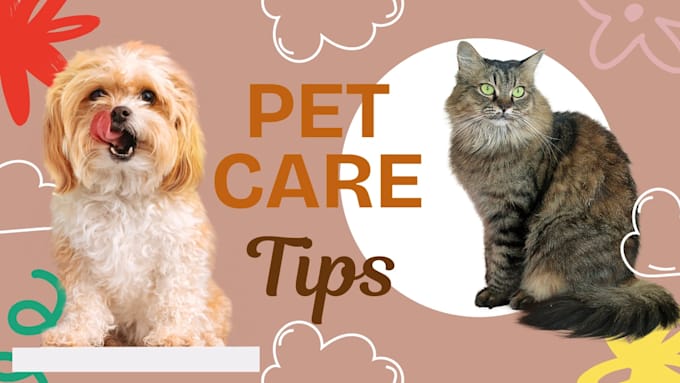 provide your pet care and veterinary support services