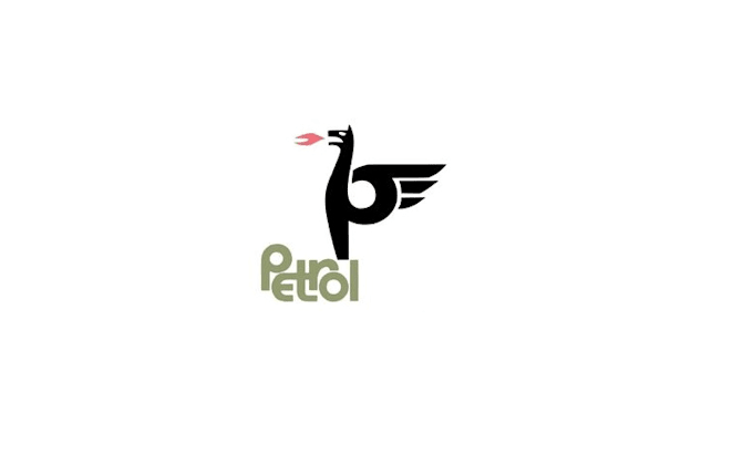create a creative bird mascot logo design