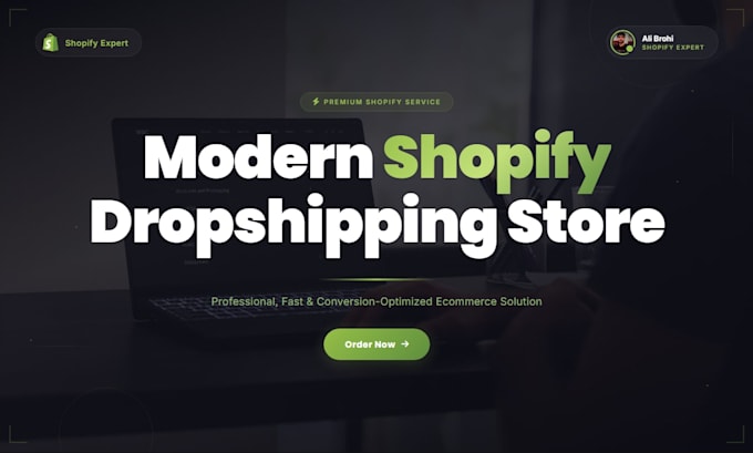 build a premium shopify dropshipping store