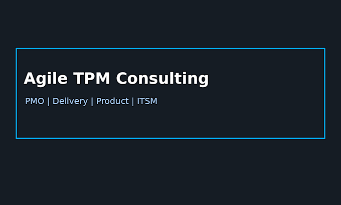 agile program, product and delivery management consulting