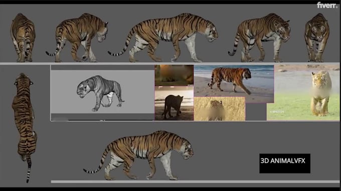 do 3d animal animation, vfx compositing 3character ,3d creature tiger for film
